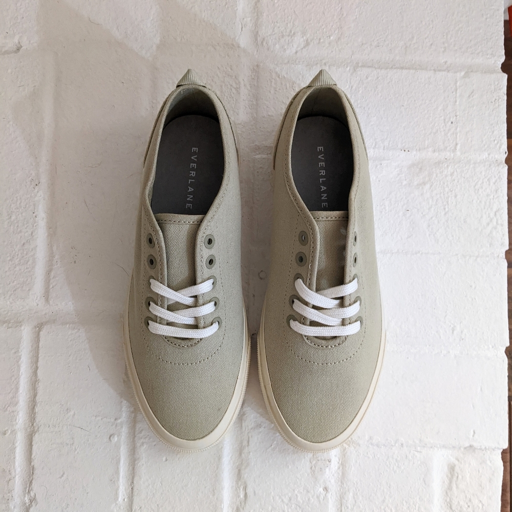 NWT Everlane Forever Sneaker in Eucalyptus